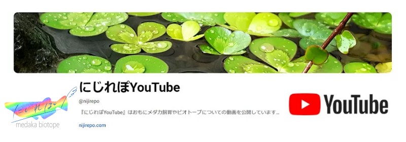 にじれぽyoutubeバナー